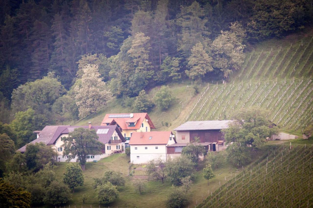 Weinbau Pronegg Vlg. Krainz Lägenhet Leutschach Exteriör bild